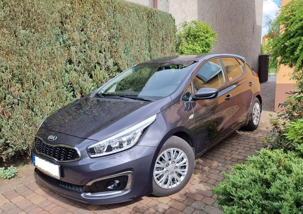 Kia Ceed cena 55900 przebieg: 65000, rok produkcji 2016 z Zawiercie małe 154